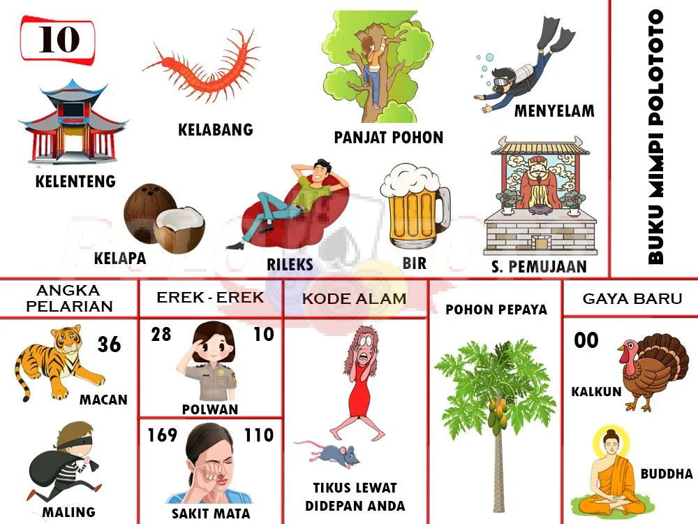 buku mimpi erek erek togel 10