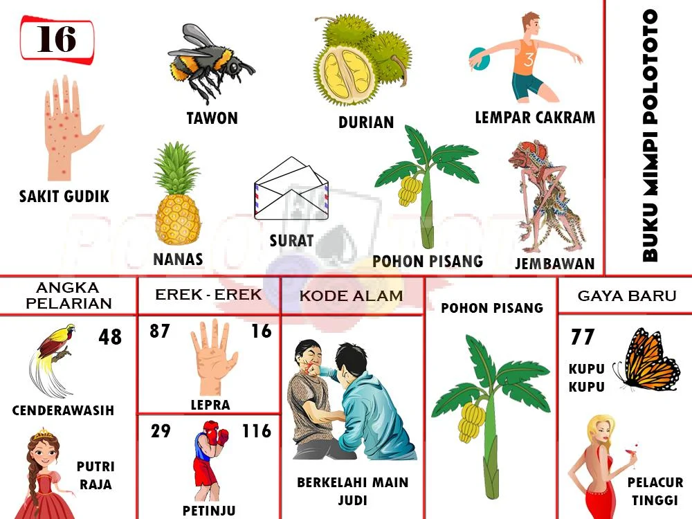 buku mimpi erek erek togel 16