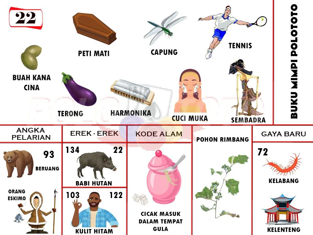 buku mimpi erek erek togel 22