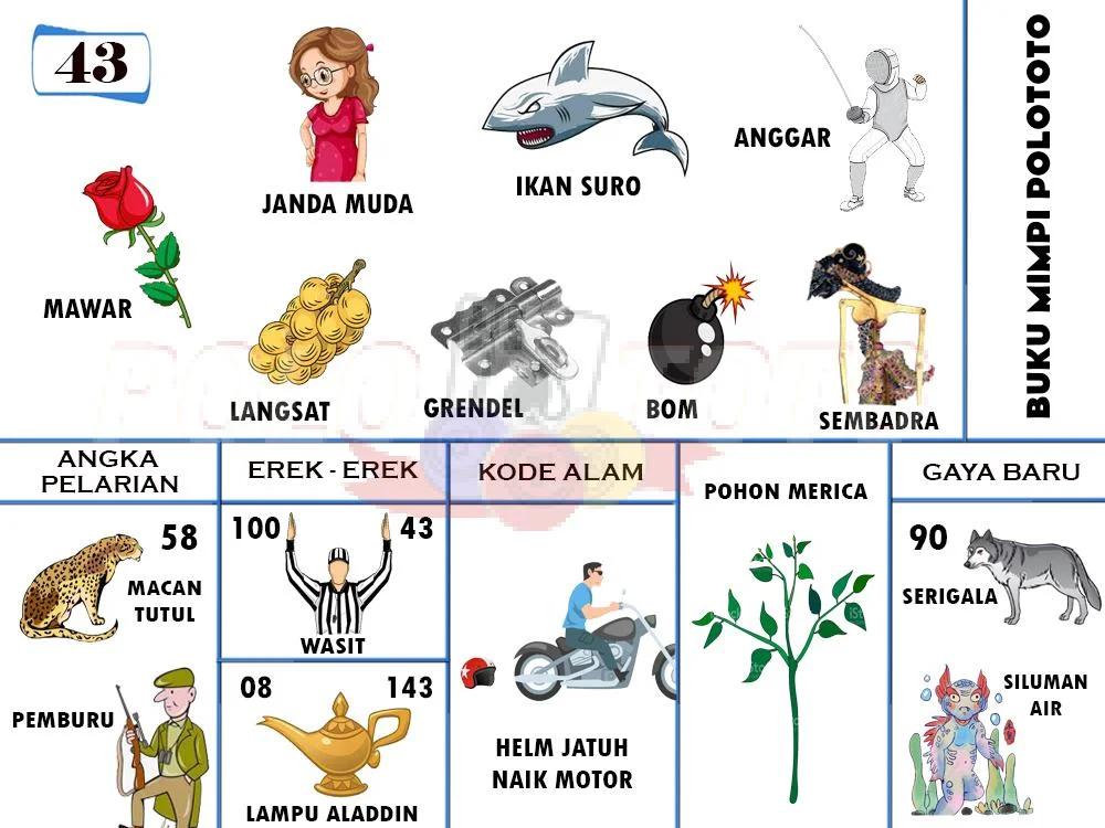 buku mimpi erek erek togel 43